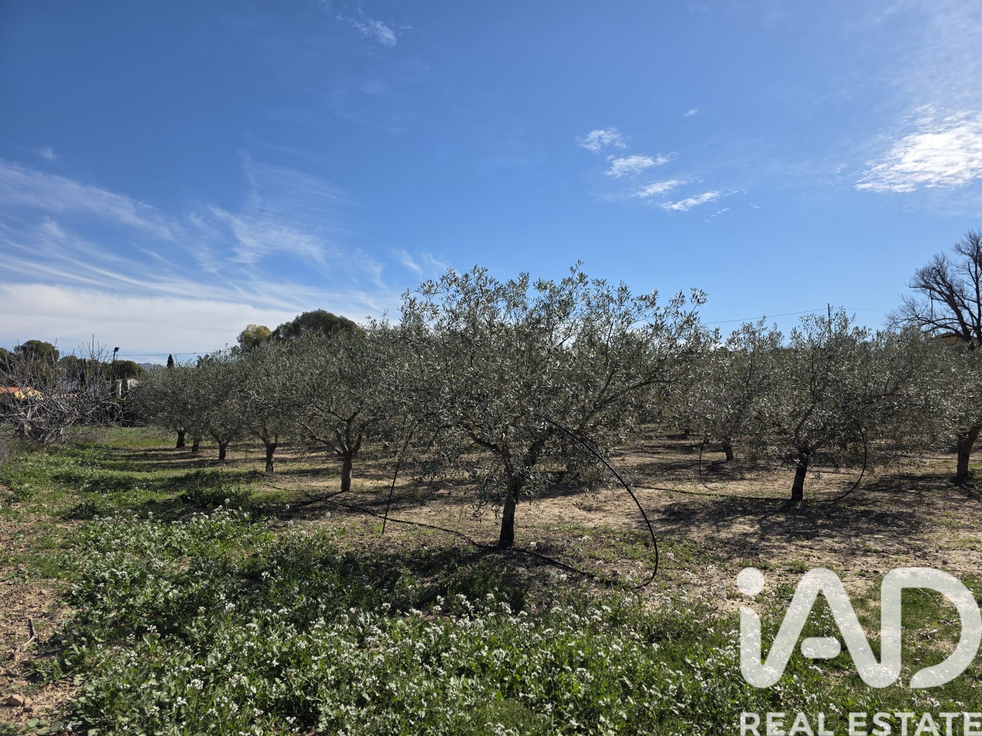 Land plot à Calasparra, Murcia, Espagne 8400 m2 No. 185060