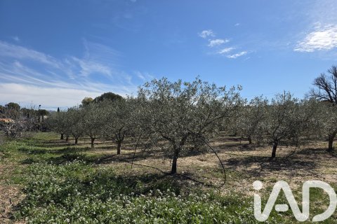 Tomt till salu i Calasparra, Murcia, Spanien 8400 kvm. Nr. 185060 - foto 8
