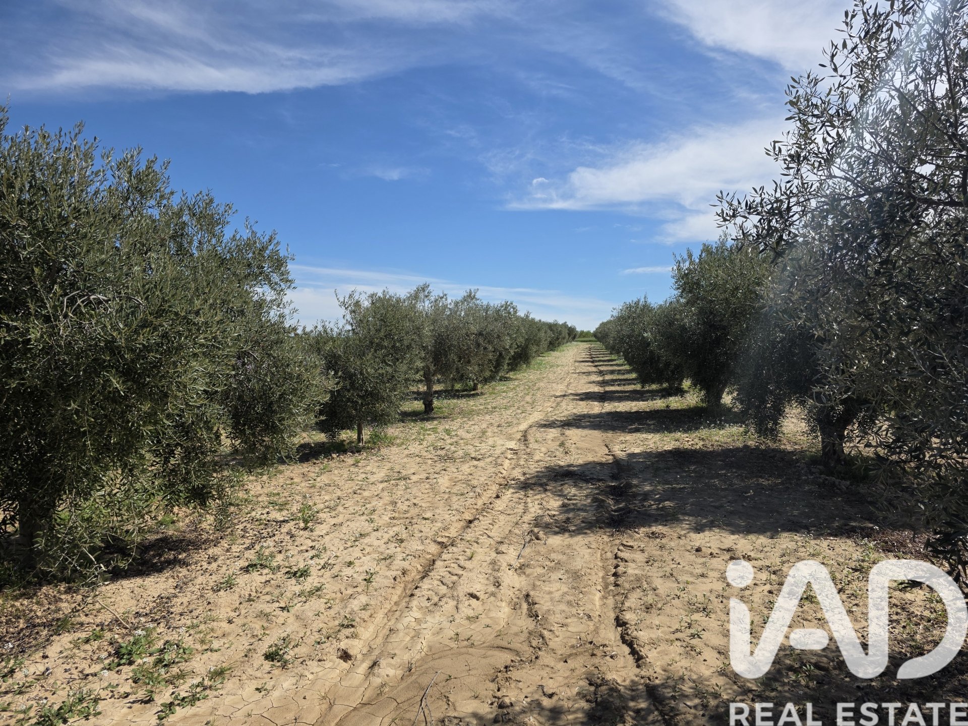 Parcela en Calasparra, Murcia, España 5779 m2 No. 185058