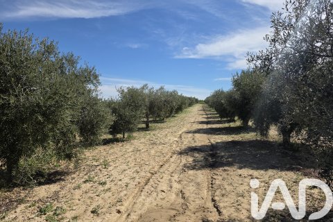 Parcela en venta en Calasparra, Murcia, España 5779 m2 No. 185058 - foto 2
