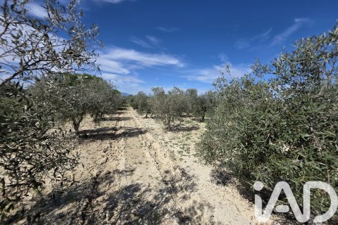 Parcela en venta en Calasparra, Murcia, España 5779 m2 No. 185058 - foto 6