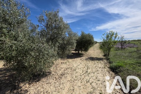 Działka w Calasparra, Murcia, Hiszpania 5779 mkw. nr 185058