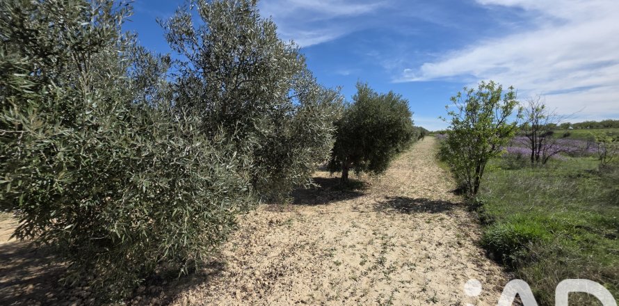 Parcela en Calasparra, Murcia, España 5779 m2 No. 185058