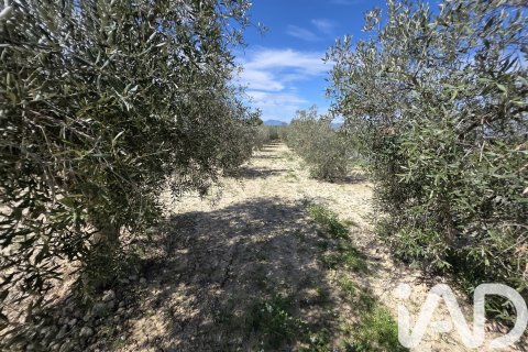 Parcela en venta en Calasparra, Murcia, España 5779 m2 No. 185058 - foto 4