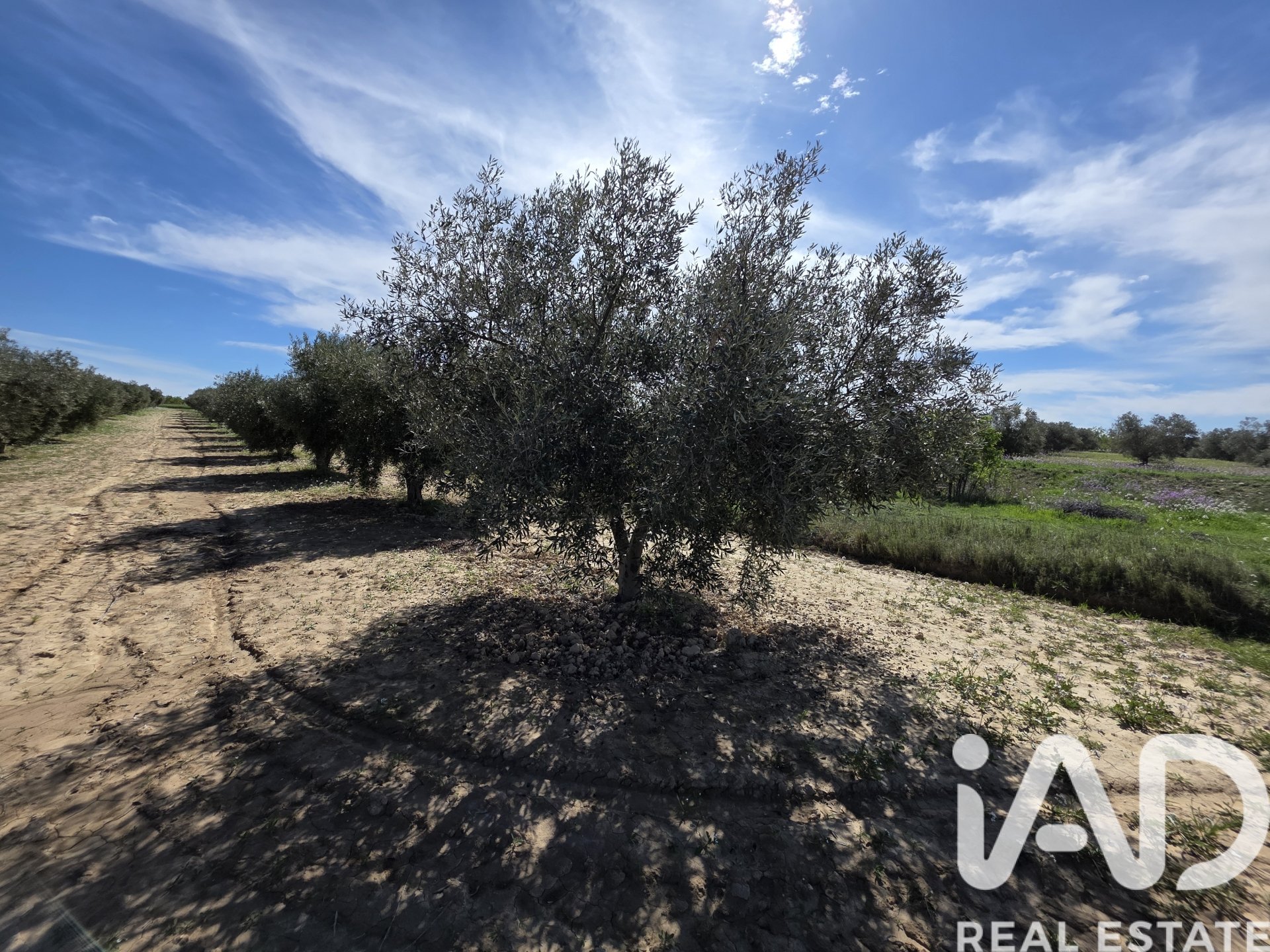 Parcela en Calasparra, Murcia, España 5779 m2 No. 185058