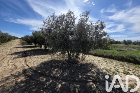 Parcela en venta en Calasparra, Murcia, España 5779 m2 No. 185058 - foto 3
