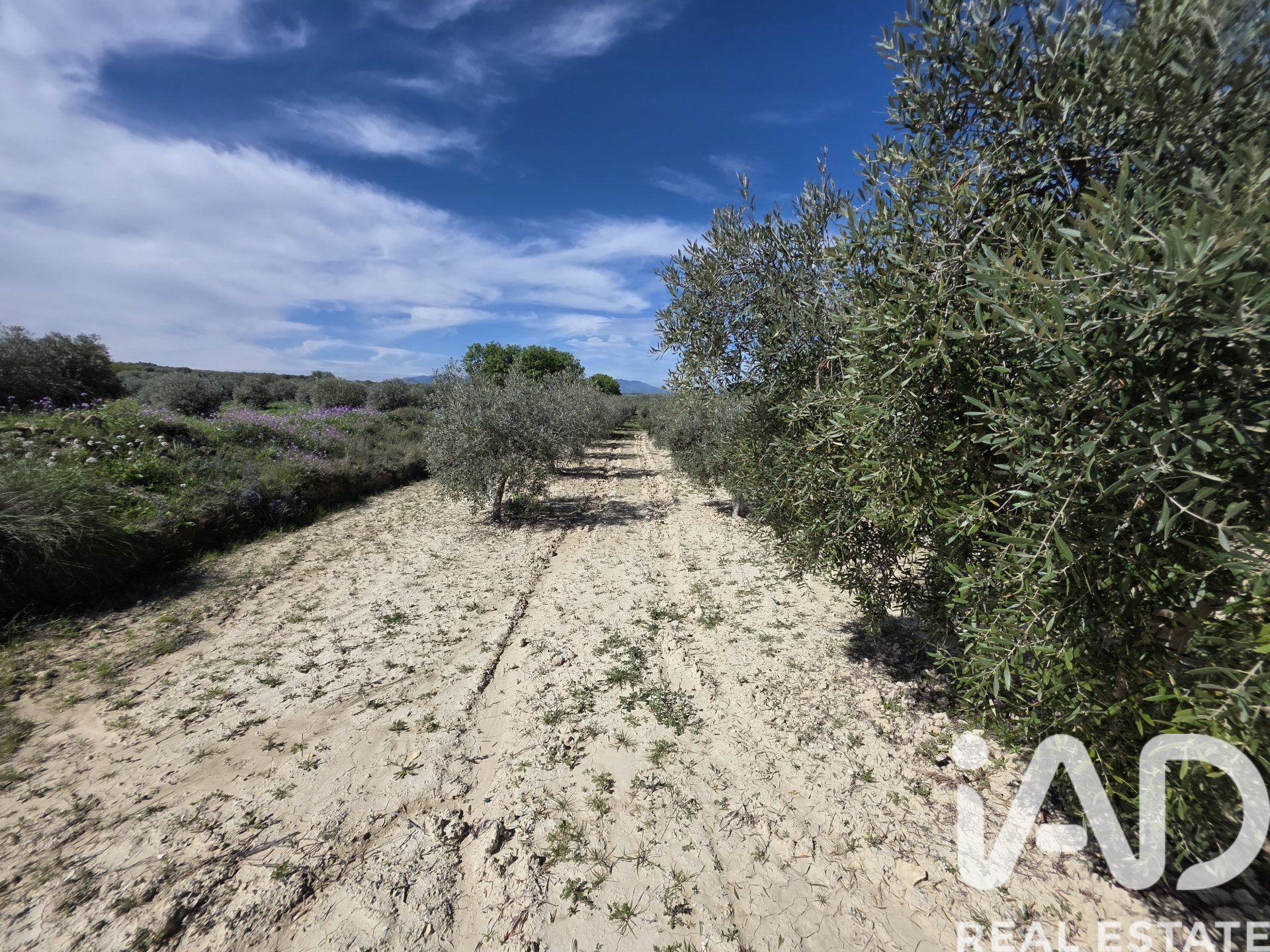 Parcela en Calasparra, Murcia, España 5779 m2 No. 185058