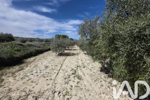 Parcela en venta en Calasparra, Murcia, España 5779 m2 No. 185058 - foto 5