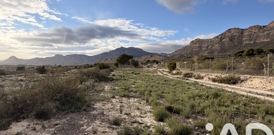 Terreno a Jijona, Alicante, Spagna 12216 mq. N° 185055