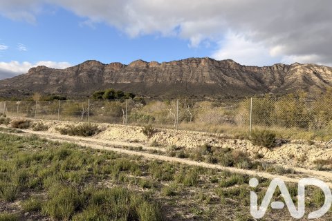 Terreno in vendita a Jijona, Alicante, Spagna 12216 mq. N° 185055 - foto 2