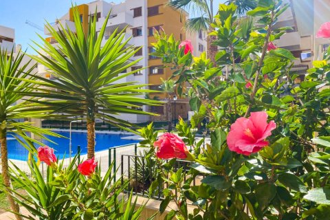 Appartamento in affitto a Punta Prima, Alicante, Spagna 3 camere da letto, 109 mq. N° 144821 - foto 24