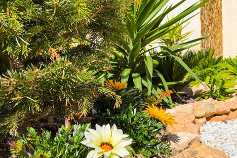 Appartamento in affitto a Punta Prima, Alicante, Spagna 3 camere da letto, 109 mq. N° 144821 - foto 26