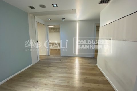 Kontor till salu i Principado De Andorra (Ninguna Poblacion Tiene C.P.), Lleida, Spanien 100 kvm. Nr. 157505 - foto 13