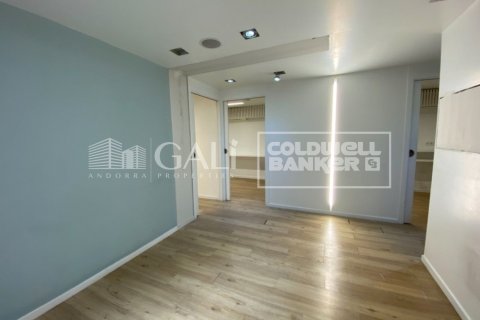 Biuro w Principado De Andorra (Ninguna Poblacion Tiene C.P.), Lleida, Hiszpania 100 mkw. nr 157505 – zdjęcie 13