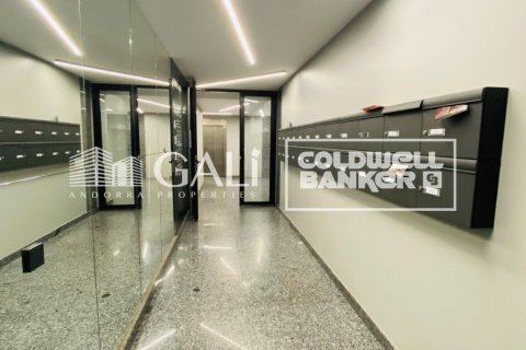 Biuro w Principado De Andorra (Ninguna Poblacion Tiene C.P.), Lleida, Hiszpania 100 mkw. nr 157505 – zdjęcie 15