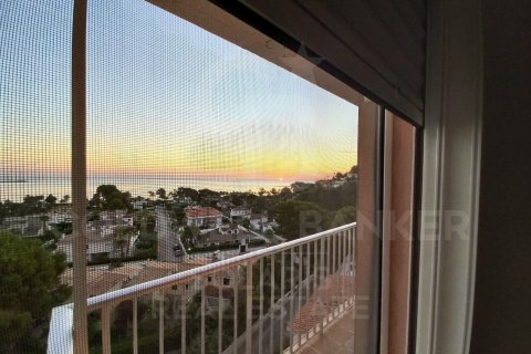 Apartment à vendre à Denia, Alicante, Espagne, 2 chambres, 95 m2 No. 157503 - photo 19