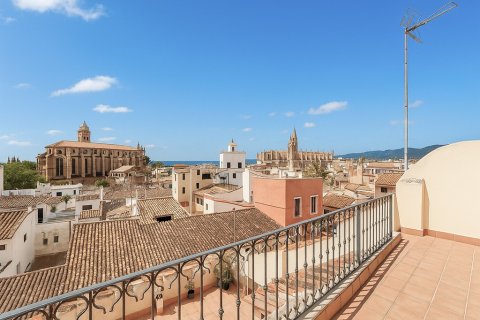 Apartment for sale in Mallorca, Spain 3 bedrooms, 170 sq.m. No. 143369 - photo 1