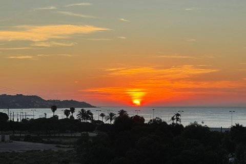 Apartament w Alicante, Hiszpania 1 sypialnia, 80 mkw. nr 165825 – zdjęcie 24