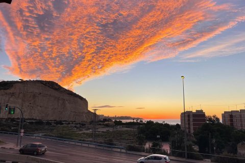 Apartament w Alicante, Hiszpania 1 sypialnia, 80 mkw. nr 165825 – zdjęcie 25