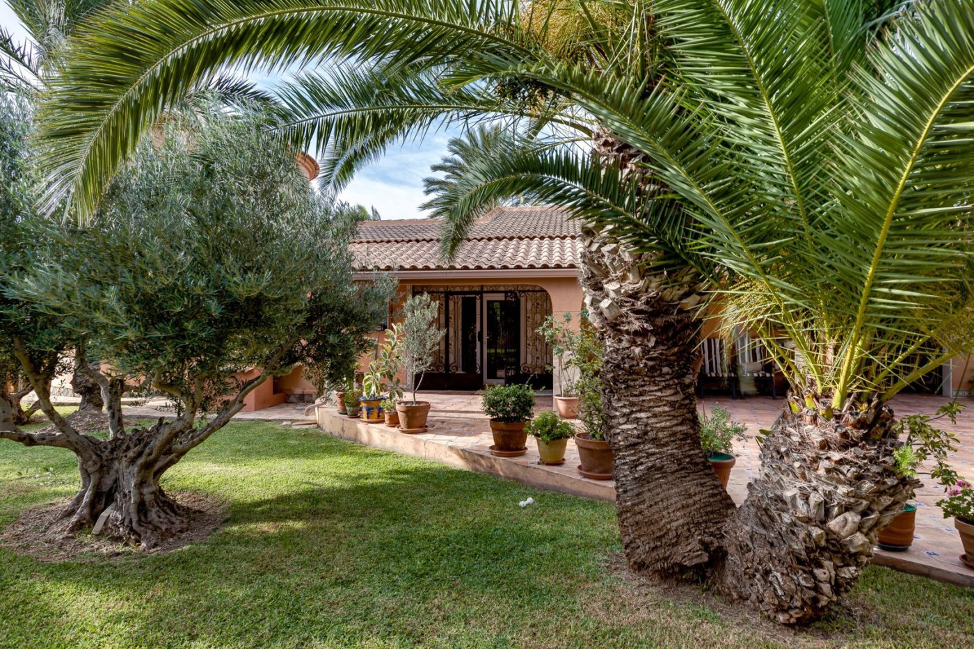 Villa a Torrevieja, Alicante, Spagna 5 camere da letto, 568 mq. N° 139507