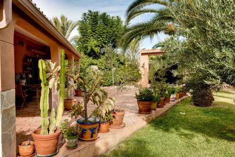 Villa till salu Torrevieja, Alicante, Spanien 5 sovrum, 568 kvm. Nr. 139507 - foto 13