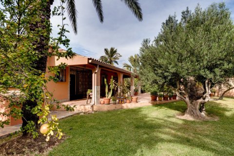 Villa till salu Torrevieja, Alicante, Spanien 5 sovrum, 568 kvm. Nr. 139507 - foto 11