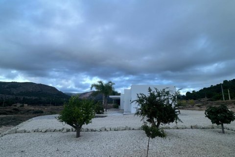 Villa till salu Pinoso, Alicante, Spanien 3 sovrum, 170 kvm. Nr. 139504 - foto 20