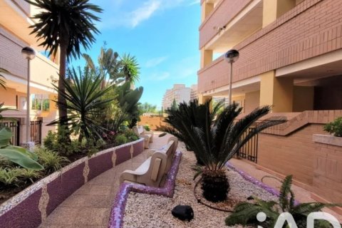 Penthouse for sale in Oropesa del Mar, Castellon, Spain 2 bedrooms, 80 sq.m. No. 184835 - photo 20