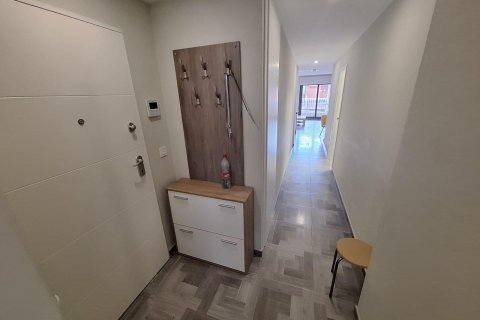 Dzīvoklis īrēšanai Torrevieja, Alicante, Spānijā 1 istaba, 77 m2 Nr. 147616 - attēls 6