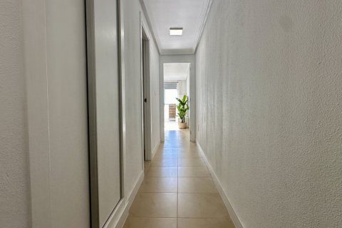 Huoneisto myytävänä Torrevieja, Alicante, Espanja, 3 makuuhuonetta, 90 m2 No. 147612 - kuva 17