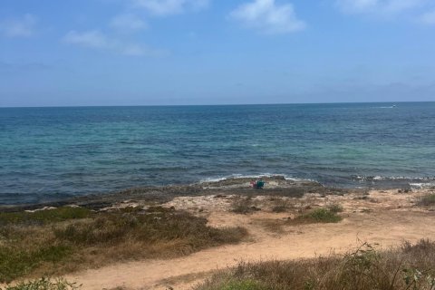 Bungalow zum Verkauf in Torrevieja, Alicante, Spanien 2 Schlafzimmer, 56 m2 Nr. 192300 - Foto 17