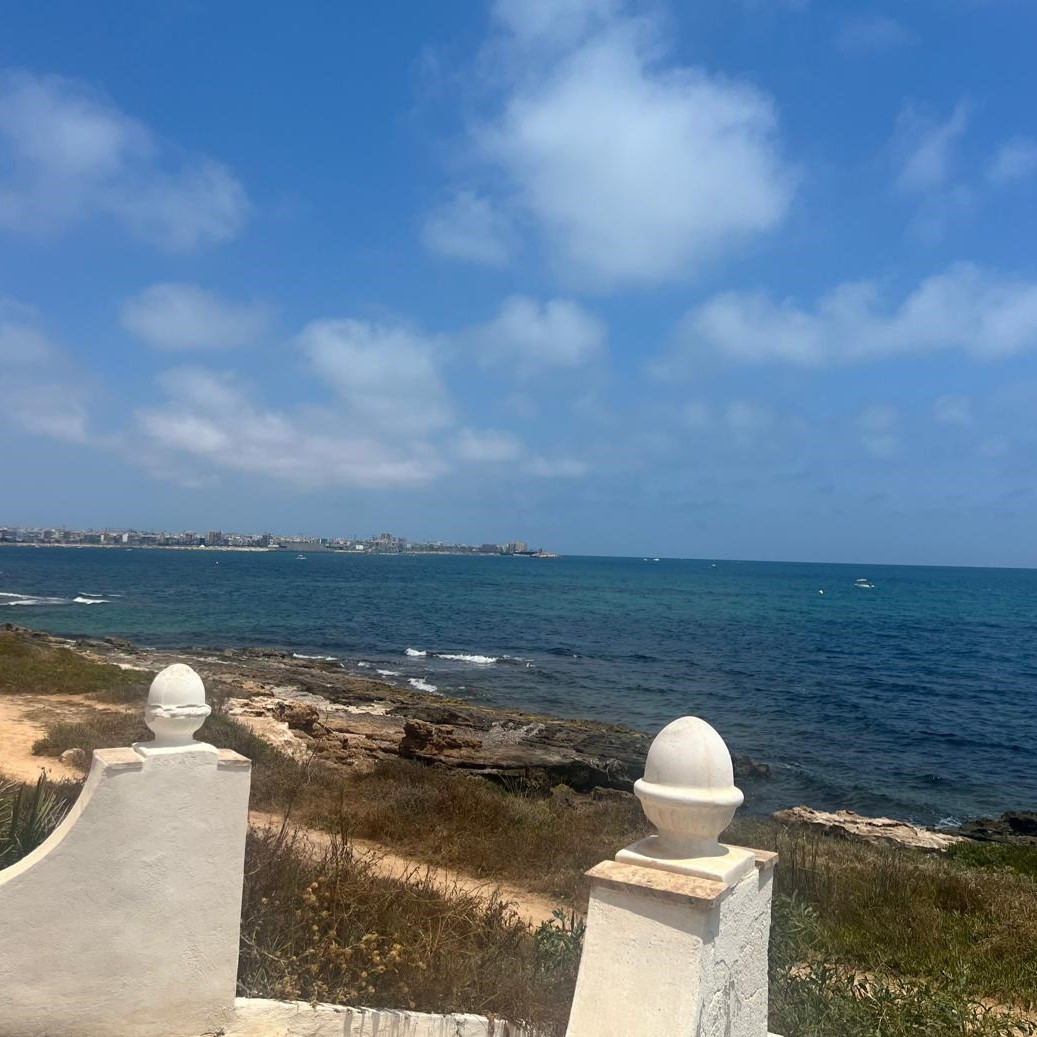 Bungalow a Torrevieja, Alicante, Spagna 2 camere da letto, 56 mq. N° 192300