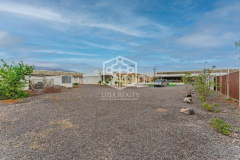 Villa in vendita a Arona, Tenerife, Spagna 6 camere da letto, 621 mq. N° 161042 - foto 5