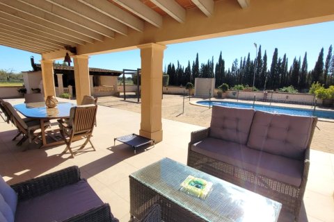 Finca för uthyrning i Sencelles, Mallorca, Spanien 4 sovrum, 256 kvm. Nr. 161047 - foto 5