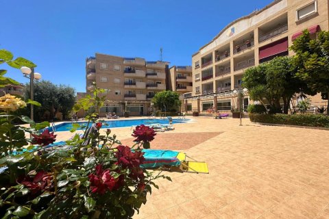 Apartment for sale in Alicante, Spain 2 bedrooms, 64 sq.m. No. 148973 - photo 5