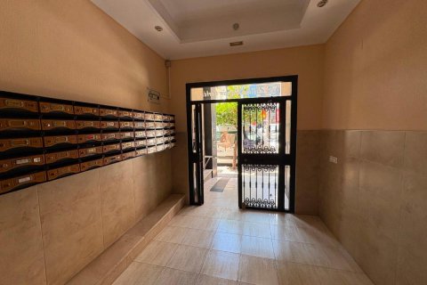 Apartment à vendre à Torrevieja, Alicante, Espagne, 4 chambres, 115 m2 No. 148972 - photo 22