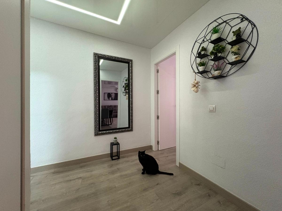 Apartment in Torrevieja, Alicante, Spain 4 bedrooms, 115 sq.m. No. 148972