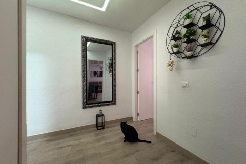 Apartment à vendre à Torrevieja, Alicante, Espagne, 4 chambres, 115 m2 No. 148972 - photo 2