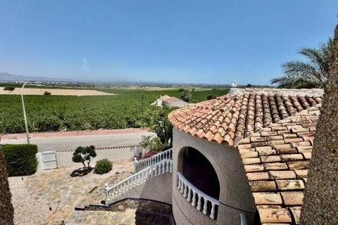 Huvila myytävänä Algorfa, Alicante, Espanja, 5 makuuhuonetta, 375 m2 No. 148974 - kuva 24