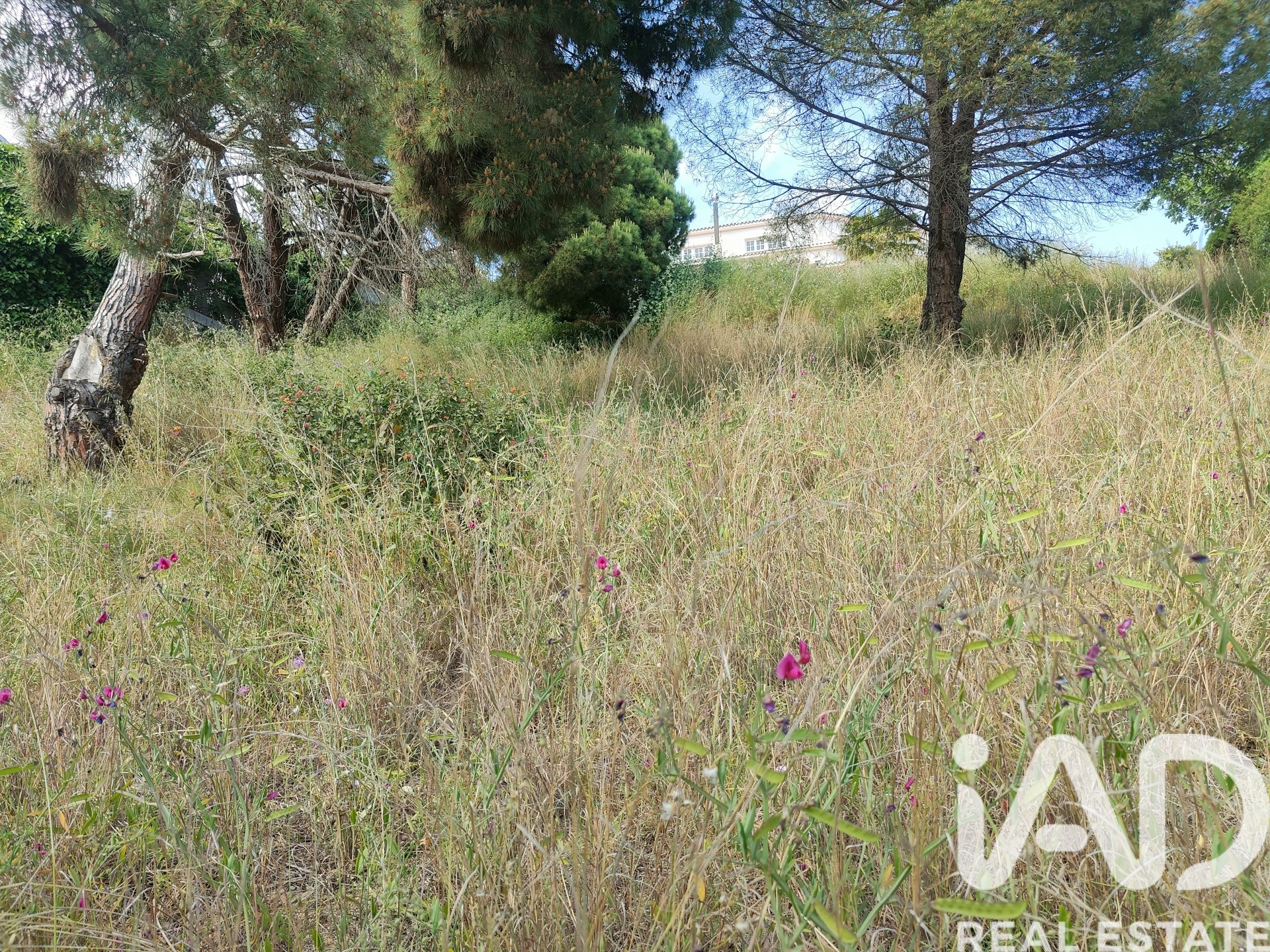 Tontti Calella, Barcelona, Espanja 930 m2 No. 172409