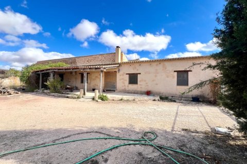Finca à Pinoso, Alicante, Espagne 4 chambres, 150 m2 No. 184428