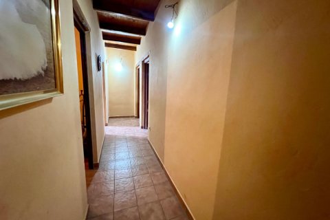 Finca en venta en Pinoso, Alicante, España 4 dormitorios, 150 m2 No. 184428 - foto 20
