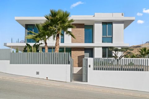 Villa in Benidorm, Alicante, Spanien 4 Schlafzimmer, 503.15 m2 Nr. 167251
