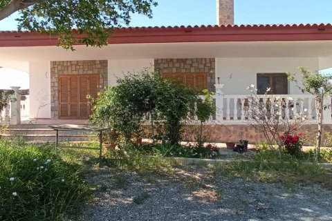 Apartment for sale Mutxamel, Alicante, Spain 5 bedrooms, 530 sq.m. No. 116665 - photo 2