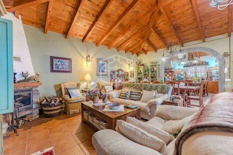 Villa pārdošanā Icod de los Vinos, Tenerife, Spānijā 4 istabas, 276 m2 Nr. 147622 - attēls 30