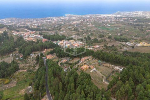Villa pārdošanā Icod de los Vinos, Tenerife, Spānijā 4 istabas, 276 m2 Nr. 147622 - attēls 13