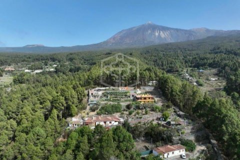 Villa pārdošanā Icod de los Vinos, Tenerife, Spānijā 4 istabas, 276 m2 Nr. 147622 - attēls 2