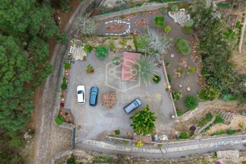 Villa pārdošanā Icod de los Vinos, Tenerife, Spānijā 4 istabas, 276 m2 Nr. 147622 - attēls 11
