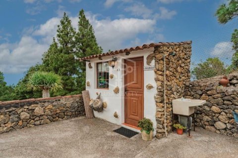Villa pārdošanā Icod de los Vinos, Tenerife, Spānijā 4 istabas, 276 m2 Nr. 147622 - attēls 19