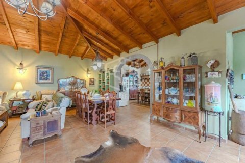Villa pārdošanā Icod de los Vinos, Tenerife, Spānijā 4 istabas, 276 m2 Nr. 147622 - attēls 28